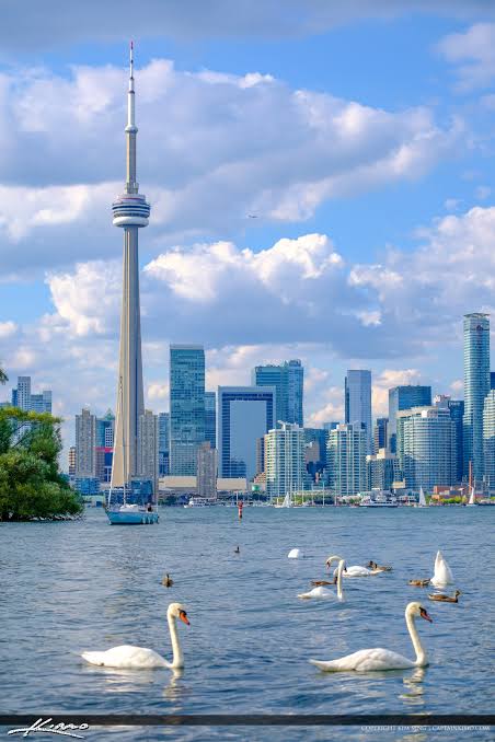 Toronto skyline with the CN Tower over Lake Ontario